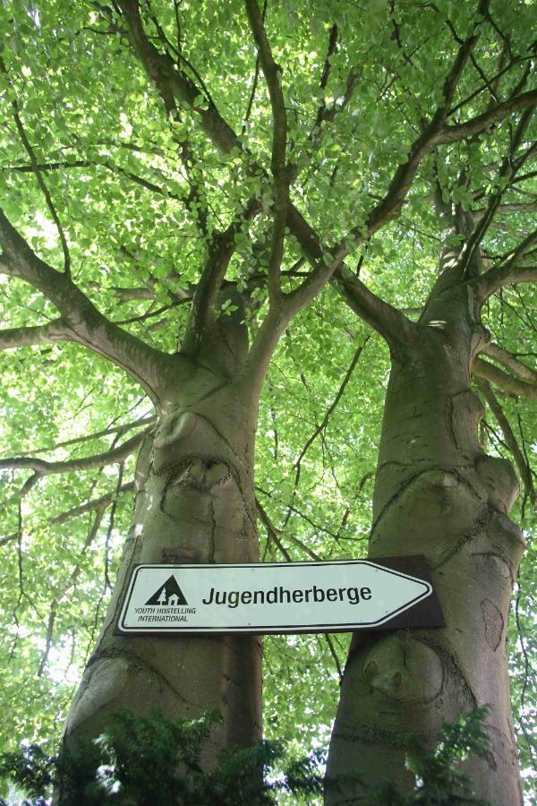 Jugendherberge เฟลนส์บวร์ก ภายนอก รูปภาพ